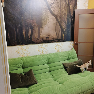 Мягкий диван с объемными подушками: отзыв о комфорте. Фото семейного отдыха. 5/5.